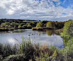 Rodley Nature Reserve