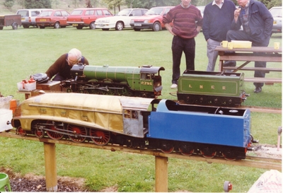 Gold Medal Mallard at Eggborough